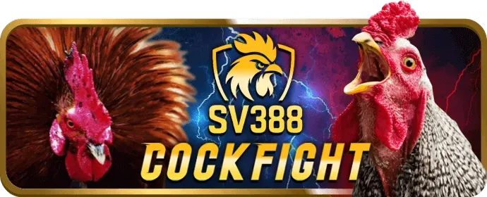 Chơi công bằng mb66b code